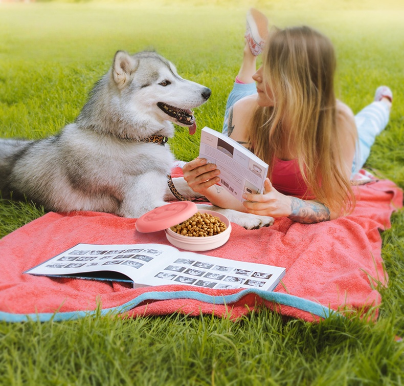 NEW Portable Outdoor Pet Bowl  - Camping Cooking And Eating のレビューと価格