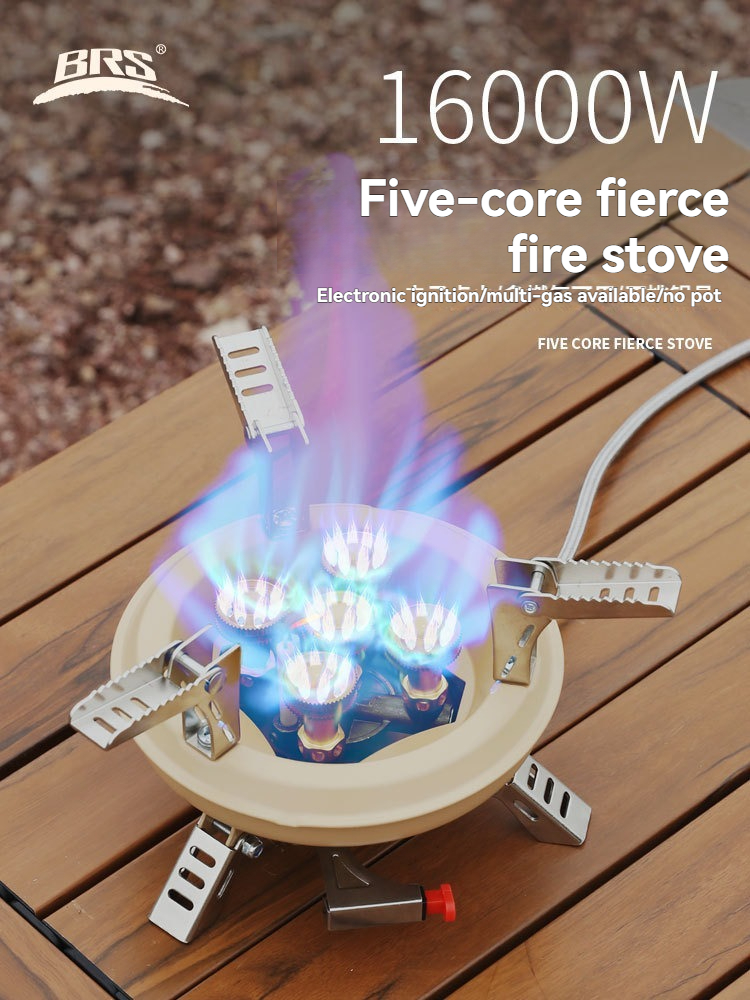 BRS-201A Portable Camping Gas  - Camping Cooking Propane のレビューと価格